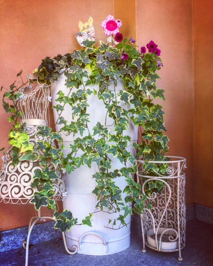 I Grappoli Divini Bed & Breakfast Viarigi Екстериор снимка